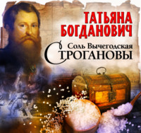 . Соль Вычегодская. Строгановы