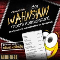. Der Wahnsinn macht Kassensturz! - Die Wahnsinn-Reihe, Band 2 (ungek?rzt)