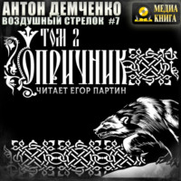 . Воздушный стрелок. Опричник. Том 2