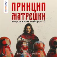 Владимир Сухинин. Принцип матрешки