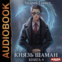 . Князь шаман. Книга 4