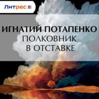 . Полковник в отставке