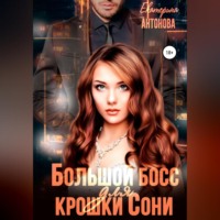 . Большой босс для крошки Сони