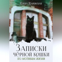 . Записки черной кошки. По мотивам жизни