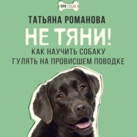 . Не тяни! Как научить собаку гулять на провисшем поводке