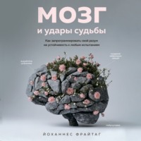 . Мозг и удары судьбы. Как запрограммировать свой разум на устойчивость к любым испытаниям