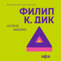 . Особое мнение
