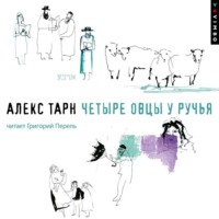 . Четыре овцы у ручья
