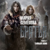 . Братья. Книга 1. Тайный воин