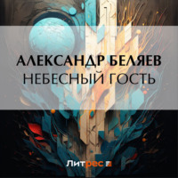 . Небесный гость