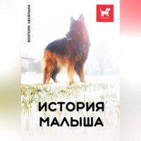 Алеся Александровна Малишевская. История Малыша
