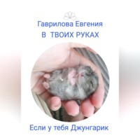 . В твоих руках. Если у тебя джунгарик