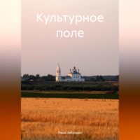 . Культурное поле