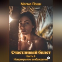 . Счастливый билет. Часть 4. Неприкрытое возбуждение