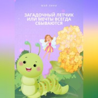 . Загадочный летчик или мечты всегда сбываются