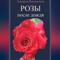 . Розы после дождя