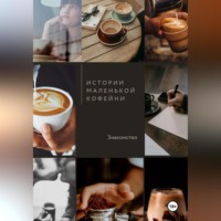 . Истории маленькой кофейни. Знакомство