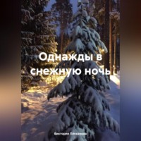 . Однажды в снежную ночь