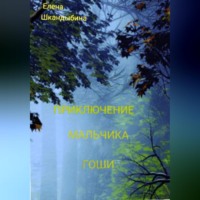 . Приключение мальчика Гоши