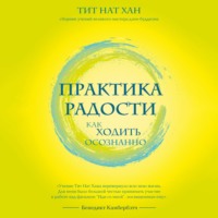 . Практика радости. Как ходить осознанно