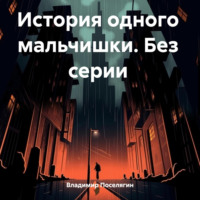 Владимир Поселягин. История одного мальчишки. Без серии