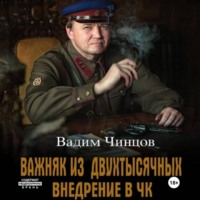 . Важняк из двухтысячных. Внедрение в ЧК
