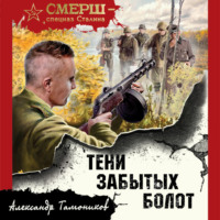 Александр Тамоников. Тени забытых болот