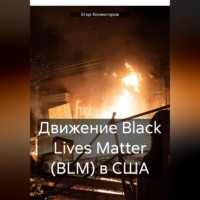 . Движение Black Lives Matter (BLM) в США