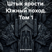 . Штык ярости. Южный поход. Том 1