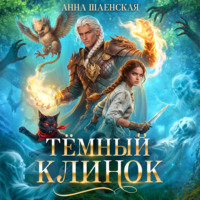 Анна Шаенская. Темный клинок, или Дипломатия по-драконьи