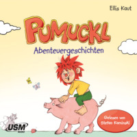 Ellis Kaut. Pumuckl - Abenteuergeschichten