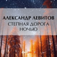 . Степная дорога ночью