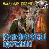 Владимир Поселягин. Красноармеец. Одержимый