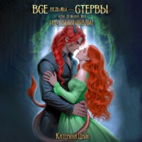 Катерина Цвик. Все ведьмы – стервы, или Демона мы (не) вызывали