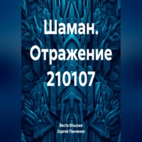 . Шаман. Отражение 210107