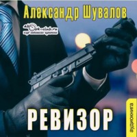 Александр Шувалов. Ревизор
