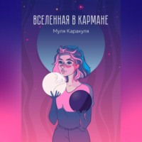 . Вселенная в кармане