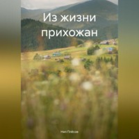 Нил Плёсов. Из жизни прихожан