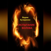 Вадим Иванович Кучеренко. Испытание волхва