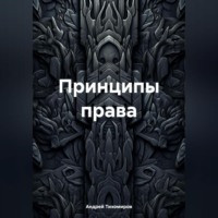 Андрей Тихомиров. Принципы права