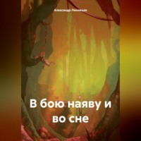 . В бою наяву и во сне