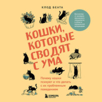 . Кошки, которые сводят с ума. Почему кошки психуют и что делать с их проблемным поведением