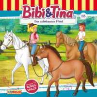 . Bibi & Tina, Folge 115: Das unbekannte Pferd