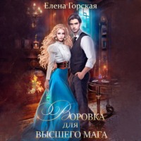 . Воровка для высшего мага