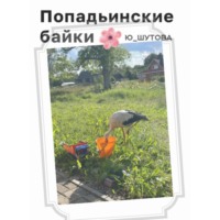 . Попадьинские байки