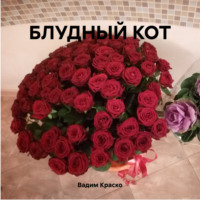 Вадим Дмитриевич Краско. БЛУДНЫЙ КОТ