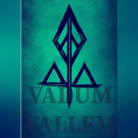 Валентин Погорелов. Vadum Vallem