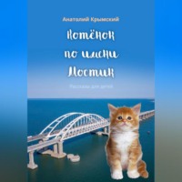 Анатолий Крымский. Котенок по имени Мостик