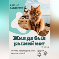 . Жил да был рыжий кот