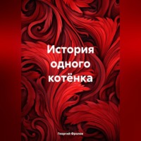 . История одного котёнка
